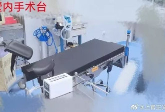 代孕卖卵：清华学历90万起 老板妹夫是公安也入股