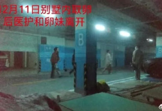 代孕卖卵：清华学历90万起 老板妹夫是公安也入股
