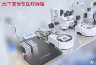 代孕卖卵：清华学历90万起 老板妹夫是公安也入股