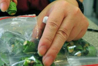 网惊！河南少年嚼槟榔8年 瓜子脸变“方块脸”