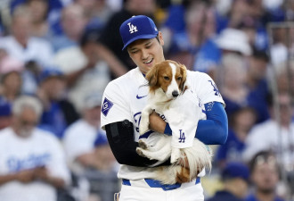 大谷翔平每年“只领”200万元 稳居大联盟年薪王