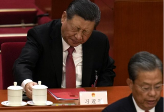从末世到乱世----中国社会的困境与未来