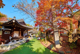 韩国哪里好玩？2025韩国必打卡景点TOP5新鲜出炉
