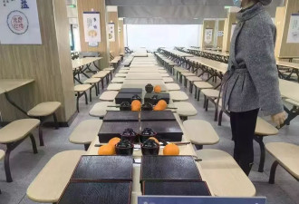 “学霸就餐区”，养成权威主义人格的温床