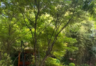 第一批逃去大理的人，已经去昆明了