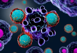 著名癌症科学家孙少聪回国 特朗普将重启“中国行动”？