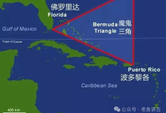 美国境内突然出现大量无人机，谁干的？