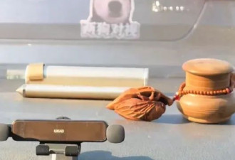 把外国嘉宾整懵的人大教授 网友扒出底细