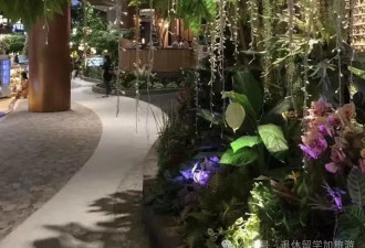 退休留学时，遇到的最会赚钱的中国留学生