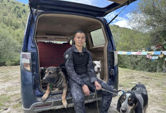 揭秘野猪猎捕队：“职业猎人”月薪过万....
