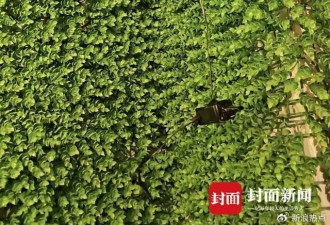 对话打击偷拍博主：压力太大，团队准备解散