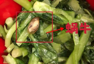 老夫妇27万住养老院，女儿控诉“虐待老人”