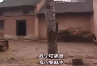 22年前向央视求救的女人，今天怎么样了？
