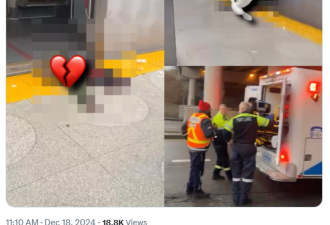 Yorkdale地铁站出事了！疑男子遭火车"腰斩"! 多站关闭3.5小时!
