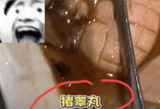 吴尊全家近照曝光 14岁女儿发育好 11岁儿子颜值一流