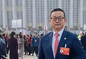 北京的"法宝"中共统战部,为何陷入全球间谍战风波