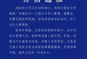 母女在公园遭4条大型犬撕咬 涉案2人被采取刑事措施
