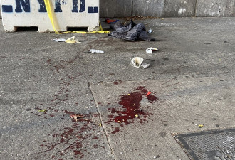 曼哈顿随机捅杀3人 嫌犯被控一级谋杀