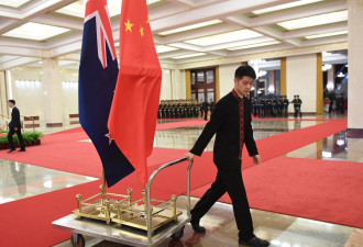 新西兰一桩官司因“狗”而起 牵出中共渗透的游戏