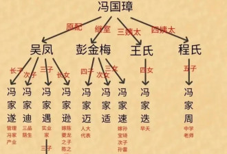 北洋军阀冯国璋和段祺瑞到底在斗啥？
