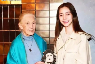Angelababy 慈善现身，素衣低调，缅怀黄姥姥？