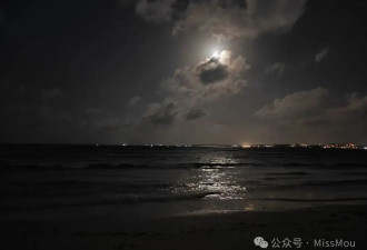 游坦桑尼亚：非洲的魅力到底在哪里？