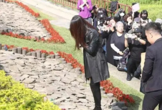 向佐老爹的白月光，美到另一个男小三痴狂？
