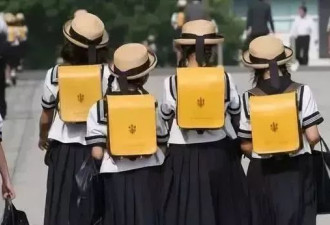 东亚内卷第一国开始摆烂，日本教育发生了什么？