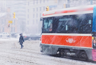多伦多和大多伦多地区连夜降雪，早晨通勤交通混乱