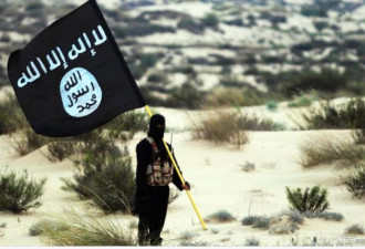 快讯：ISIS领袖被击毙