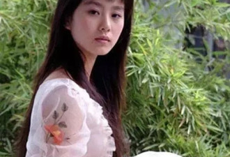 血淋淋！刘诗诗和吴奇隆相爱和婚变始末