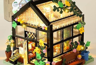 玩具花屋积木套装，OKKIDY 花友屋带 LED