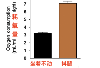 不得不久坐时，一个摆烂小动作能减轻危害