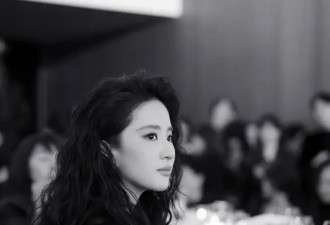 一张内娱大合照，把刘亦菲杨幂的“江湖地位”...