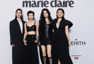 一张内娱大合照，把刘亦菲杨幂的“江湖地位”...