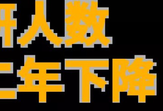 闹剧、悲剧和喜剧交替上演：用24组词回顾2024年