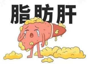 小伙减肥月瘦20斤，反成重度脂肪肝！医生提醒