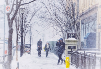 -45℃极寒+30cm暴雪横扫加拿大!多伦多下周有望迎"白色圣诞节"!