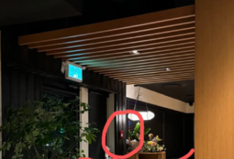 苹果店“零元购”！Lululemon、Nike刚被抢过，便衣天天猫捉老鼠