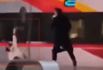扒门被夹伤手指 乘客被高铁夹到并拖行