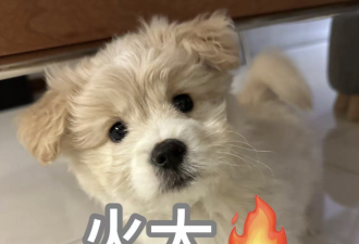 嘴唇干裂起皮老不好，别以为是缺水！可能是疾病