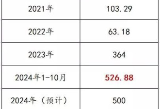 四百万外国人，正在涌入上海