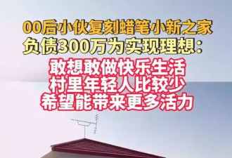 00后负债300万复刻蜡笔小新之家,当事人回应质疑