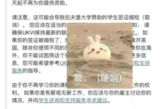 留学告别"开盲盒"？一大批学生正在靠刷短视频选校