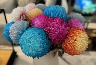范冰冰高调炫富,奢华豪宅摆满鲜花,年入超2500万