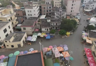 全红婵夺金后，她的故乡长出一个“奥运村”