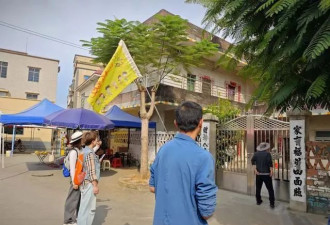 全红婵夺金后，她的故乡长出一个“奥运村”