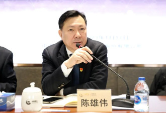 官宣！失联5个月的中国黄金董事长陈雄伟，已落马