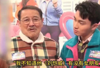 "夫妻本是同林鸟",但离婚6年的刘恺威,杨幂也...
