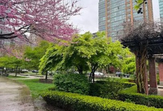 BC全面禁毒！向随地大小吸说不！在公园遭遇非法吸毒者可报警